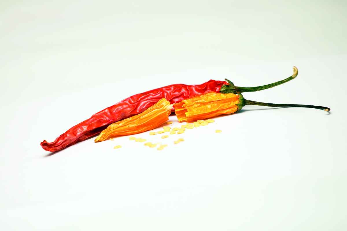 Getrocknete Chilischote