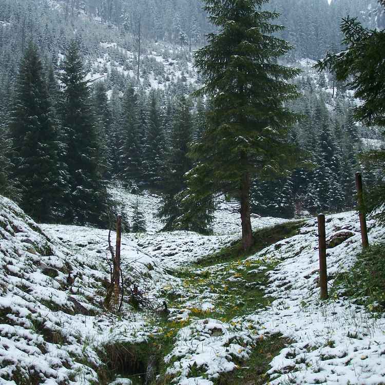 In der Nähe der Drehhütte