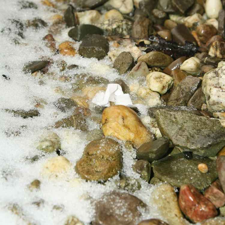 Steine im getauten Schnee