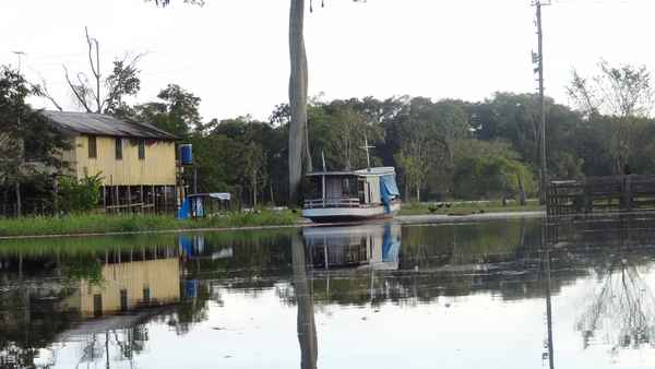 irgendwo im amazonas
