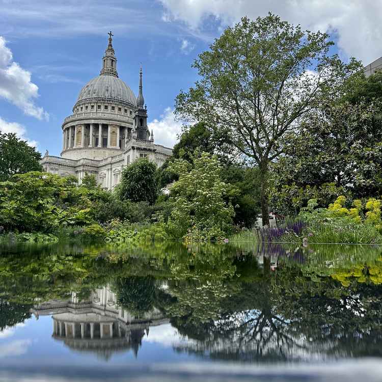 St. Paul’s cathedral
