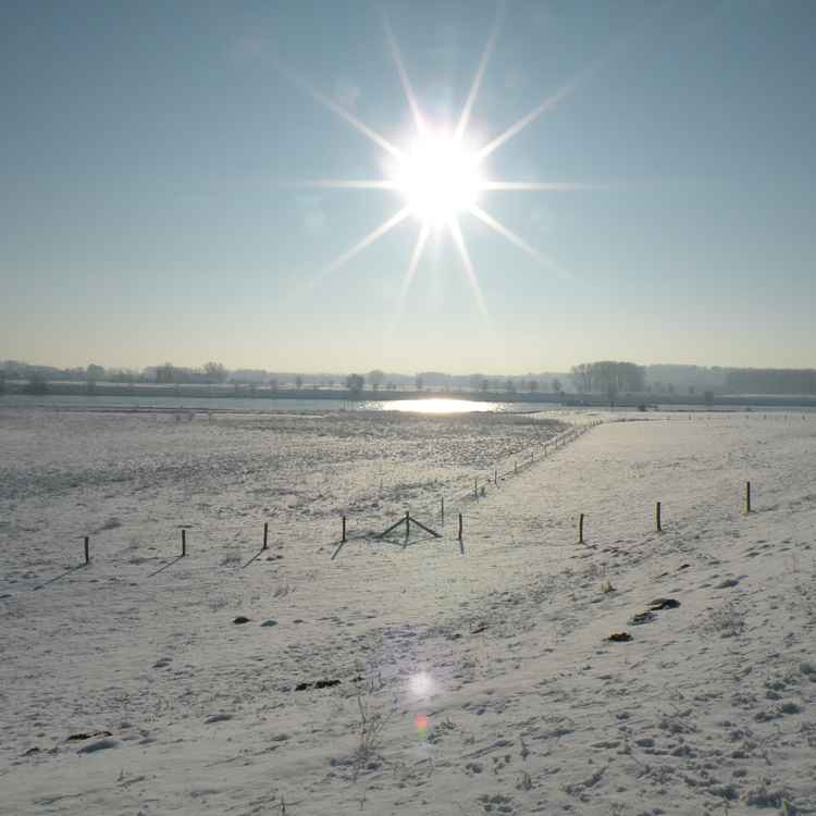 Winterimpressionen 20