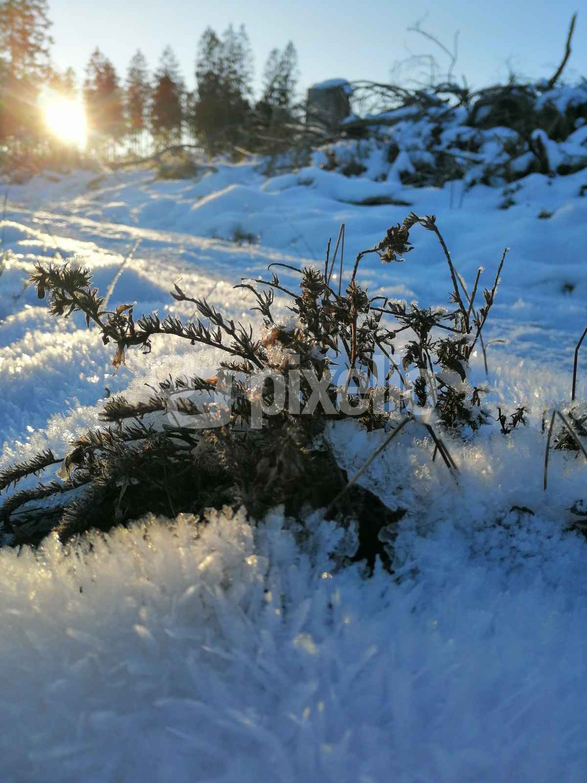 Frostige Tage