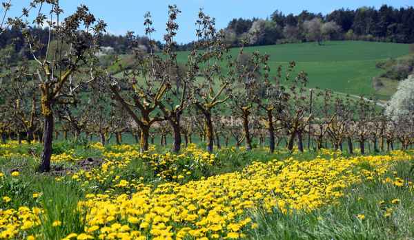 Natur pur