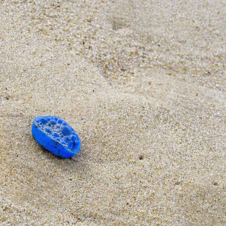 Plastik aus dem Meer