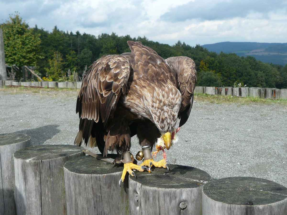 Die Belohnung nach einem Flug!