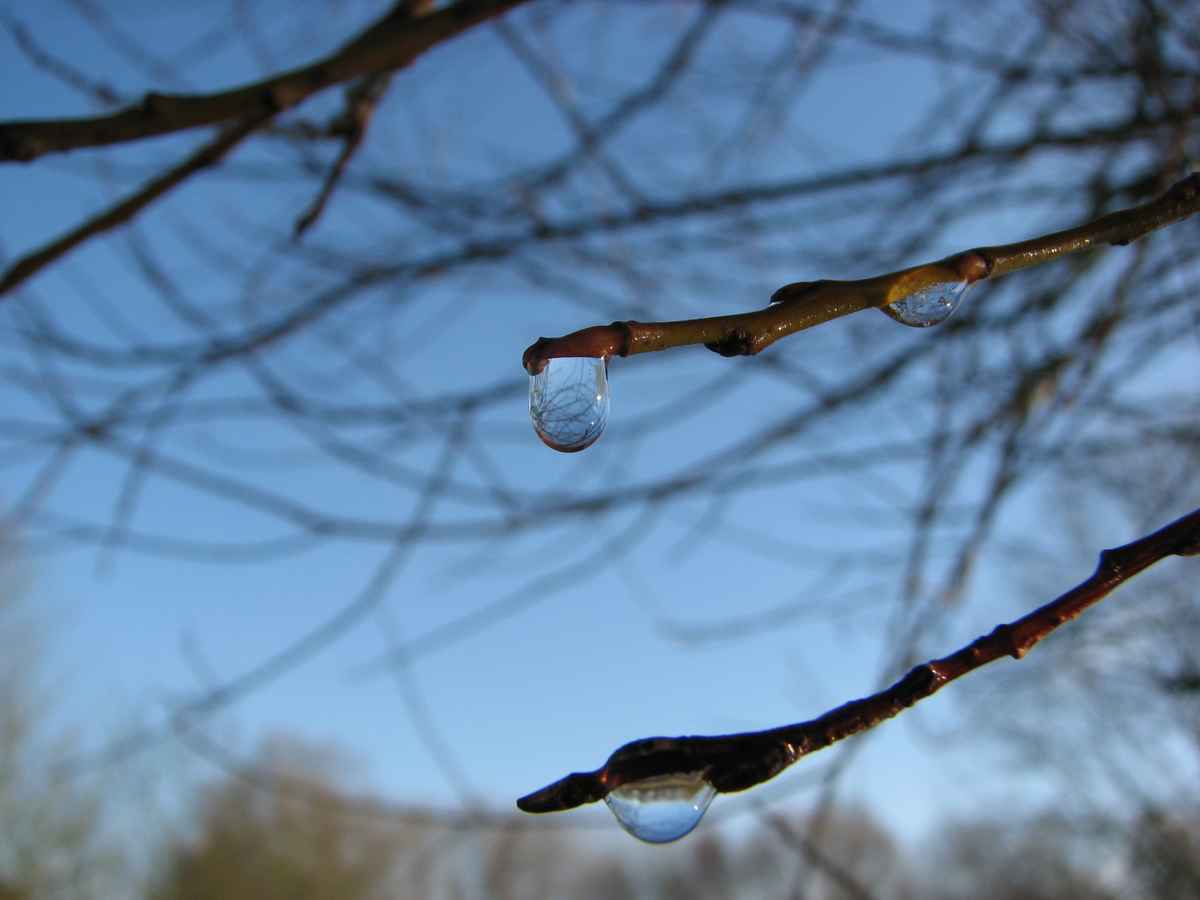 Spaziergang im Teufelsmoor