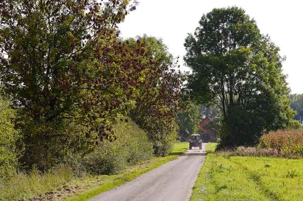Herbstliche Hofzufahrt