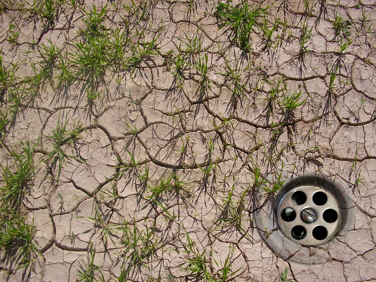Klimawandel