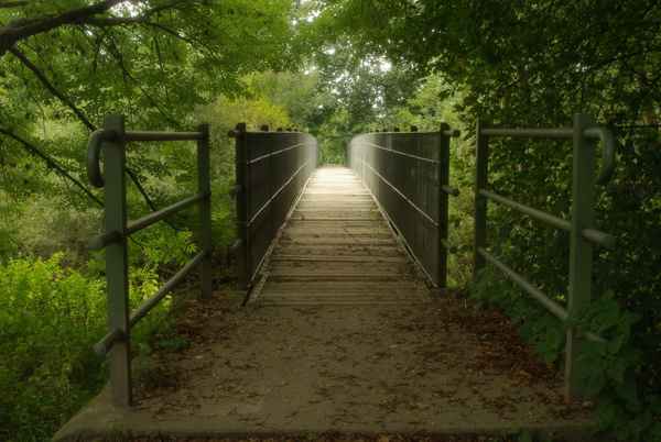 Bodensee 13 -  Brücke