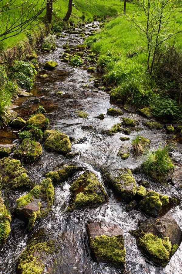 Am Sankenbach bei Baiersbronn 2