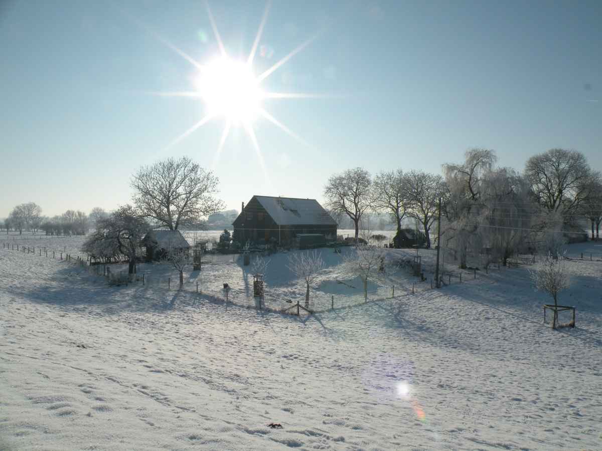 Winterimpressionen 18