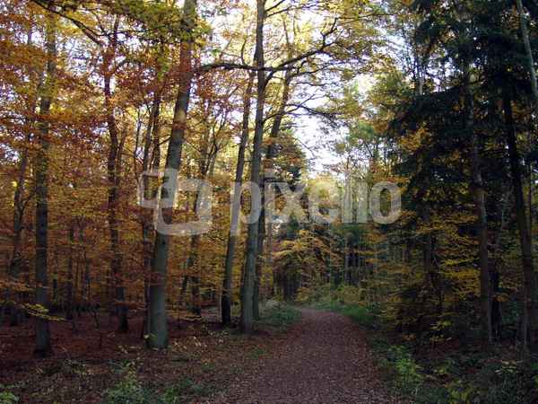 Herbst impressionen