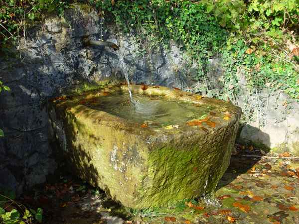 frisches Wasser