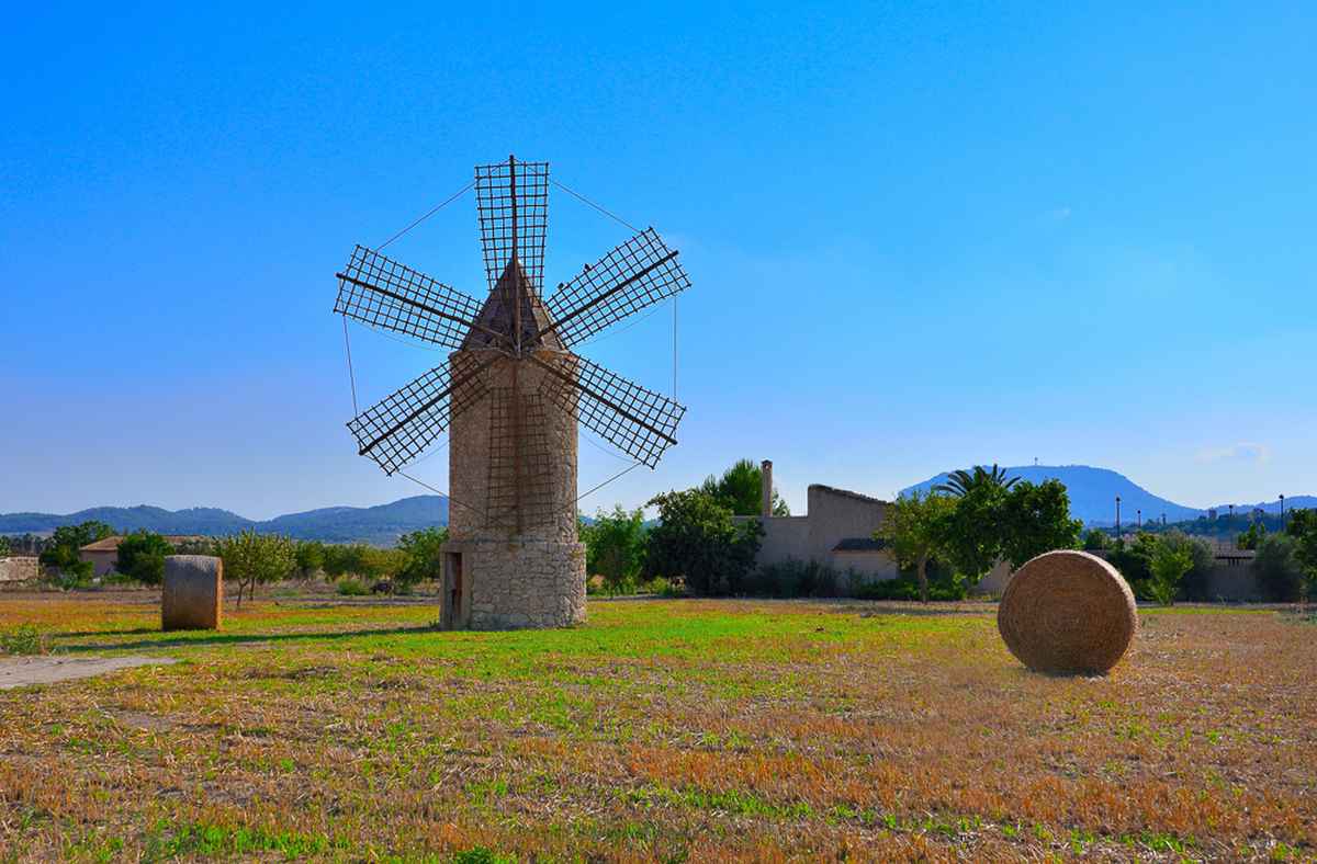 Windmühle Mallorca
