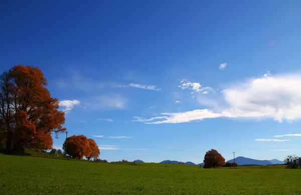 Das Blaue Land...02
