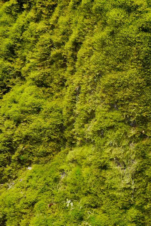 Naturdenkmal Dreimühlen-Waserfall bei Nohn (Vulkaneifel) #5