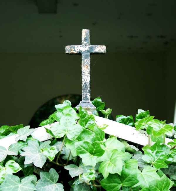 Kreuz mit Efeu