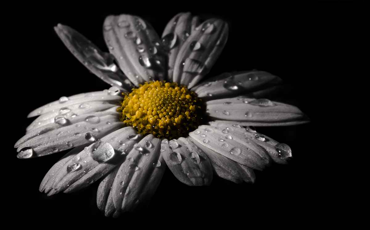Im Regen