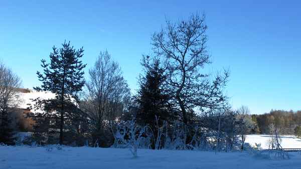 winteridylle