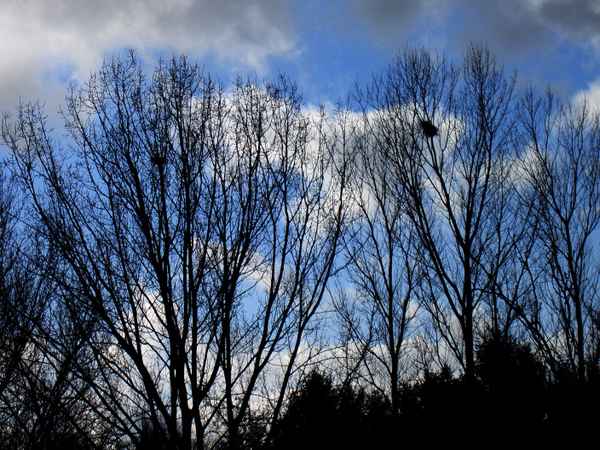 Es wird langsam dunkel