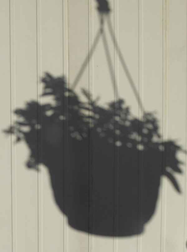 Morgenschatten