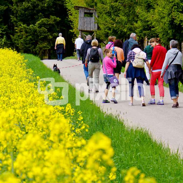 Maiwandergruppe