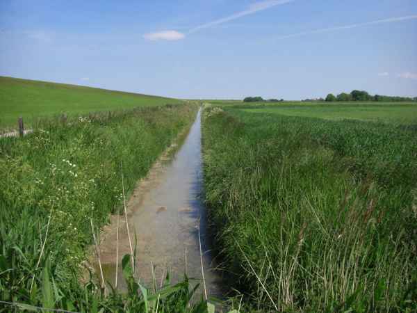 Hinter dem Deich / 2