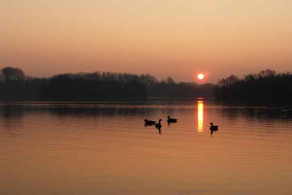 Preis der Sonne (III)