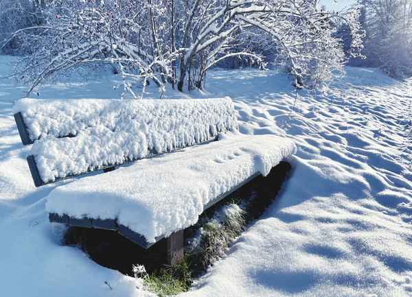 frostige Winterbank