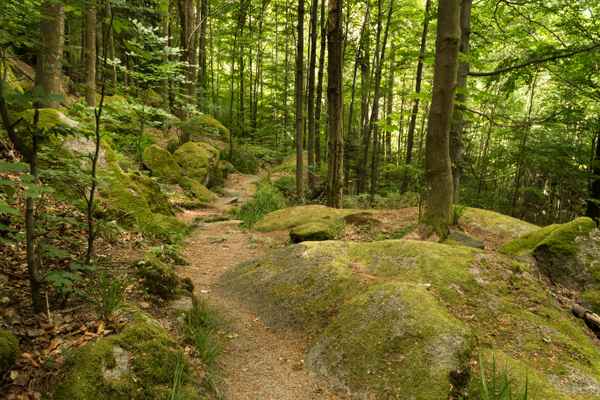 über Stock und Stein