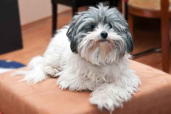 Pascha