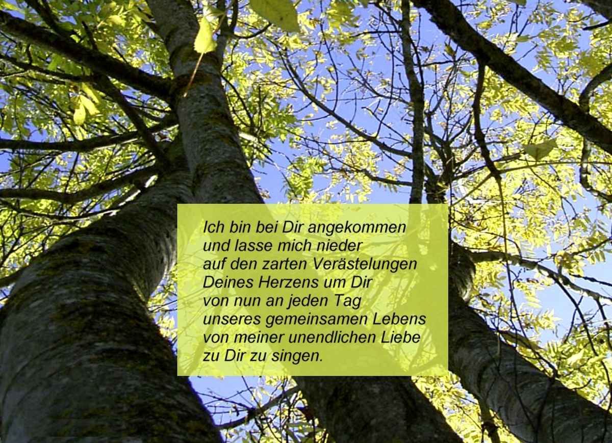 bei dir angekommen