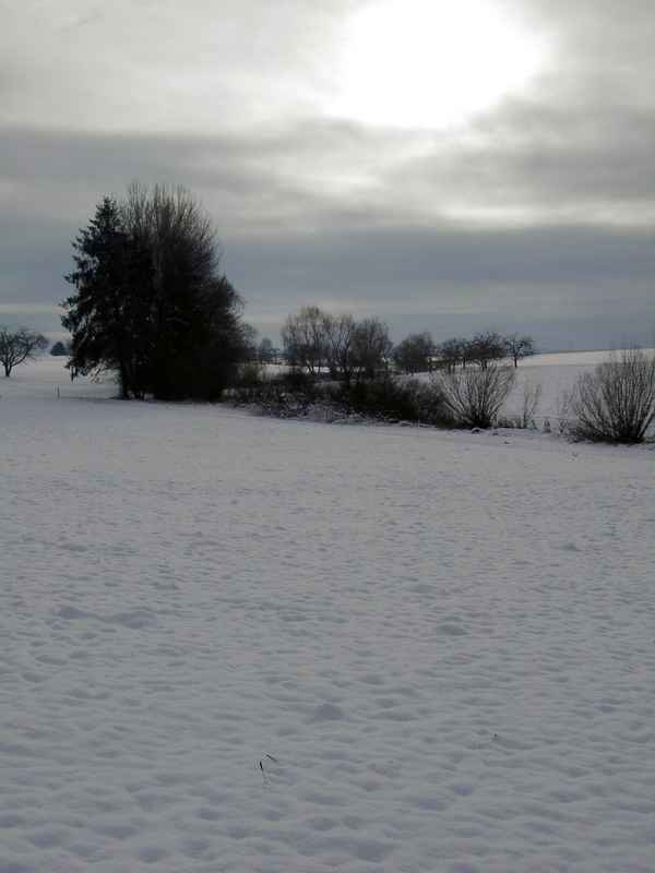 Winter bei Oberboihingen