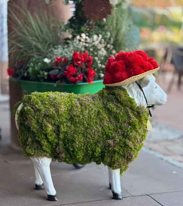 Gartenschau-Botschafter mit Bollenhut