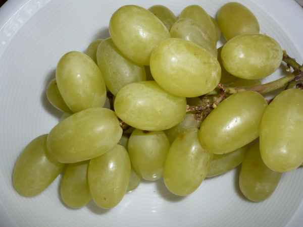 Weintrauben