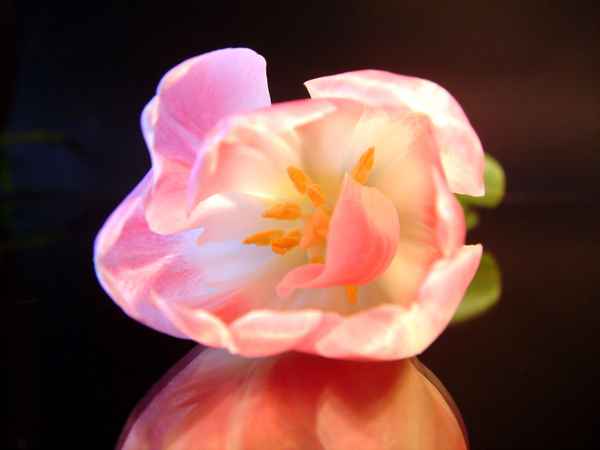 versteckt