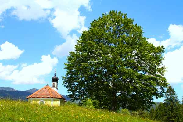 Ein idyllisches Plätzchen...