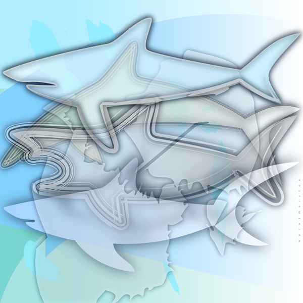 Sharks / Haie