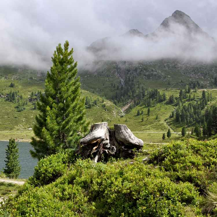 Idylle in den Bergen