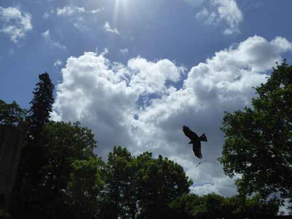 Wolkenflug