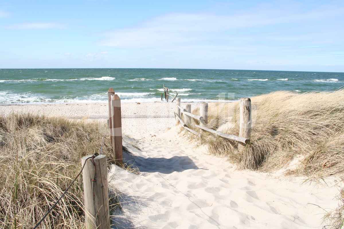 Herz was willst du Meer?