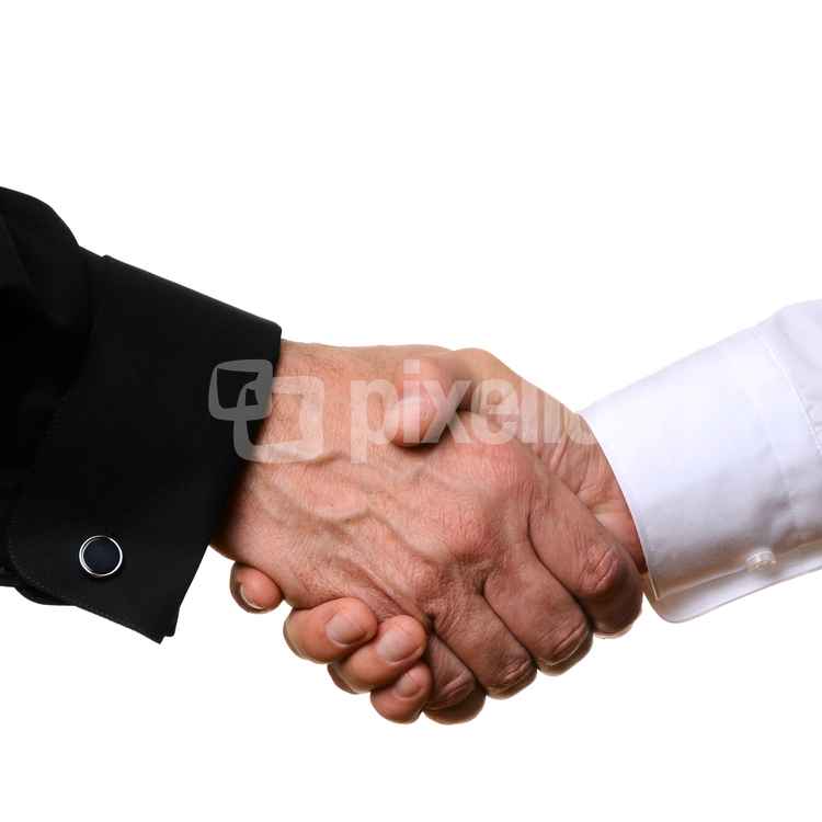 shake hands