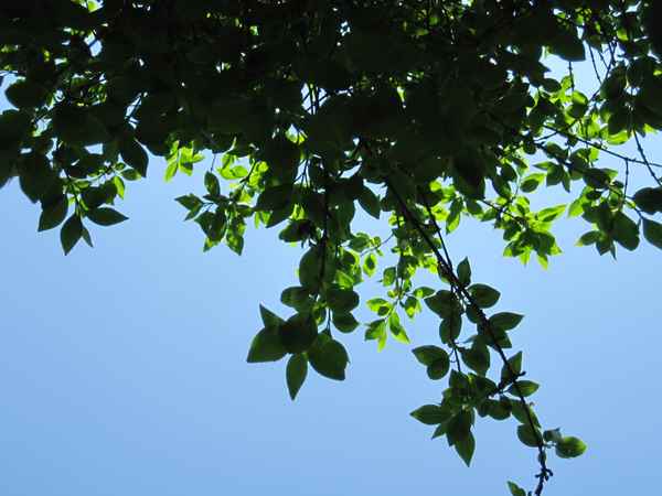 Licht & Schatten