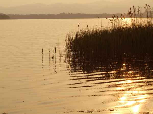 Abendstimmung am See