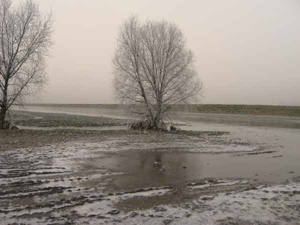 Land unter 2