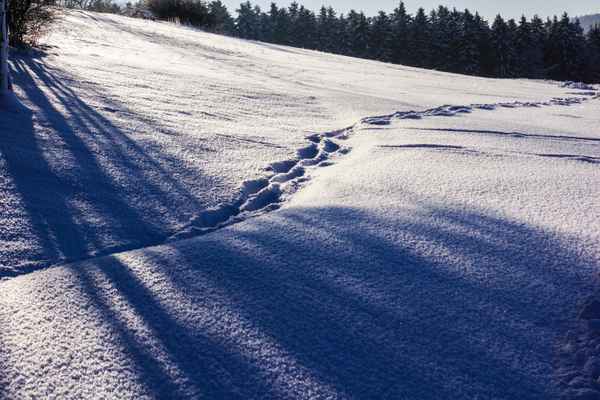 Spuren im Schnee