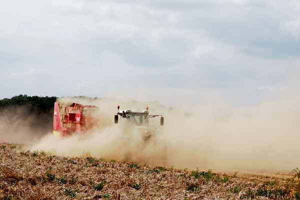 kartoffelernte in niedersachsen