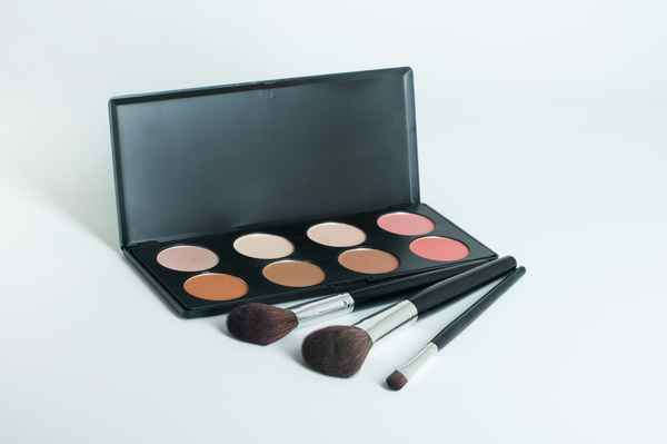 Make-up Palette