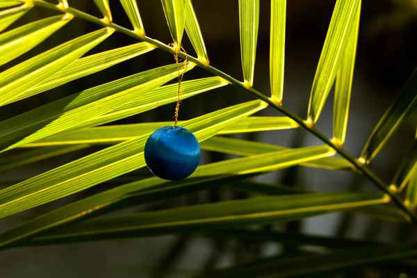 Weihnachtsschmuck am Palmblatt